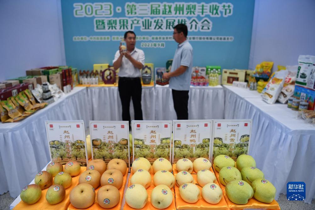 新匍京官网登陆网址