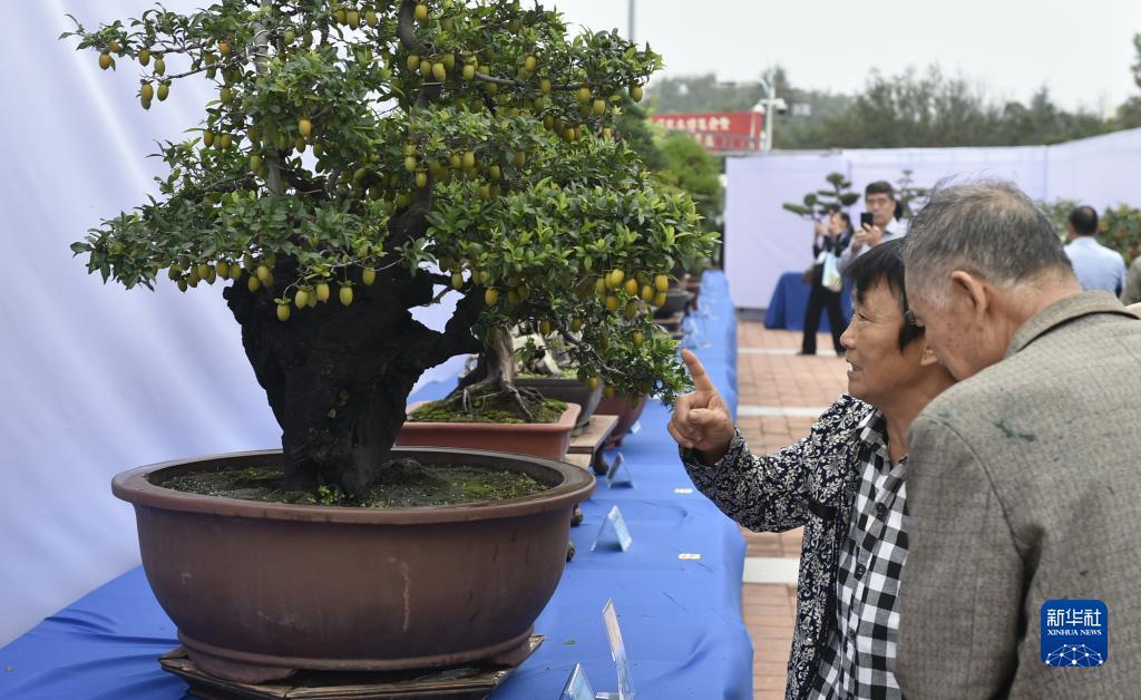 ∪乐国际官网